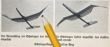Schwingen-Flugzeug-Modell-Bau