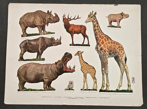 Tiere aufstellbogen - -,