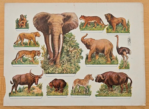 Wildtiere aufstellbogen - wildtiere,